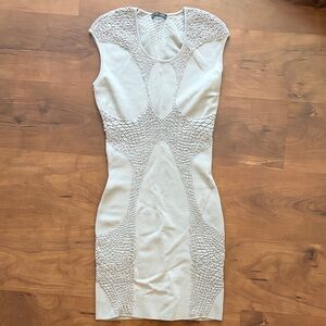RARE Alexander McQueen Plato’s Atlantis 2010 Bodycon Dress Small